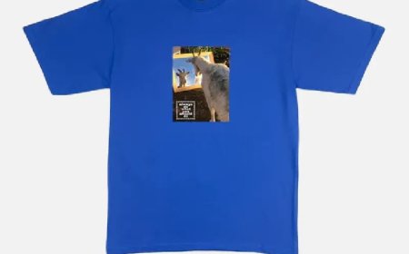 Anarcho-Comfortism ADWYSD’s Anti-Fashion Manifesto