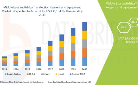 Middle East and Africa Transfection Reagent and Equipment Market Size, Share, Trends, Demand, Growth and Competitive Outlook