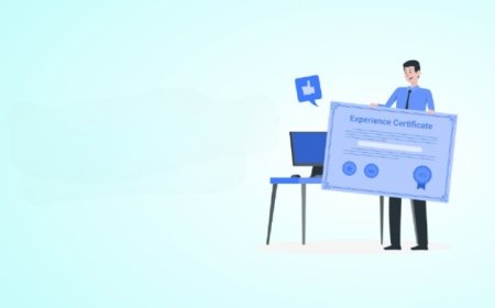 Make Your Resume Stronger with a Work Experience Certificate