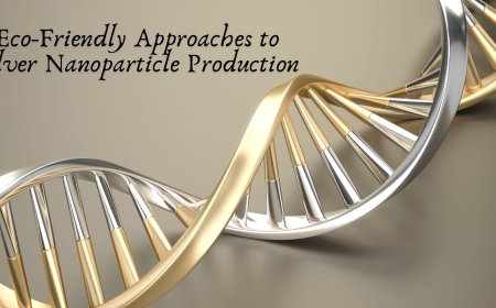 Eco-Friendly Approaches to Silver Nanoparticle Production