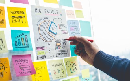 What Is The Program Structure Of An Online MBA In Project Management?