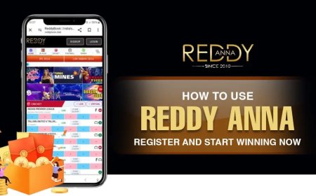 Reddy Anna Book Club: Your Gateway to Trusted Online Betting