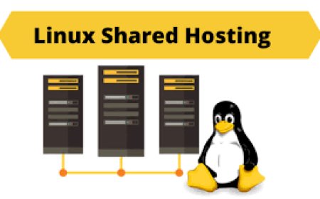 Why Linux Shared Hosting Is Ideal for New Websites