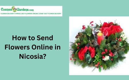 How to Send Flowers Online in Nicosia?