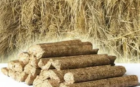 Rice Straw Pellets Manufacturer: Turning Agricultural Waste into Renewable Energy