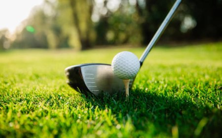 Callaway Driver Head Cover