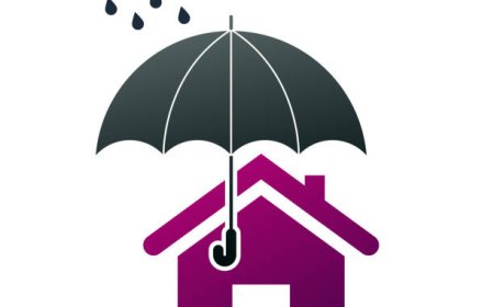 Roofers in Bellingham, WA