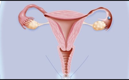 What to Expect During IVF Treatment in Bangalore: Tests, Timelines & Tips