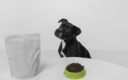 From Dog Poop Bags to Pooper Scoopers: A Complete 2025 Guide to Efficient Pet Waste Disposal with the Innovative Gogostik