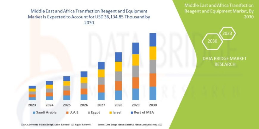 Middle East and Africa Transfection Reagent and Equipment Market Size, Share, Trends, Demand, Growth and Competitive Outlook