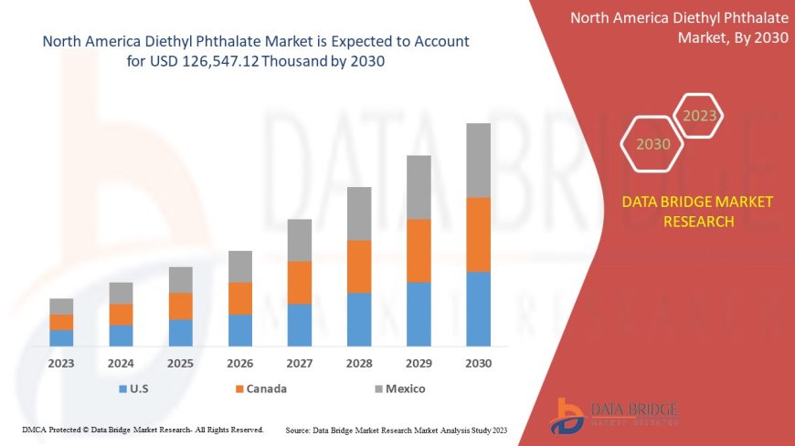 North America Diethyl Phthalate Market Size, Share, Trends, Demand, Growth, Challenges and Competitive Outlook