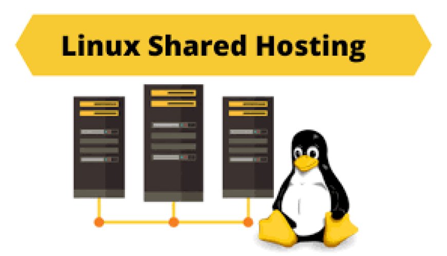 Why Linux Shared Hosting Is Ideal for New Websites