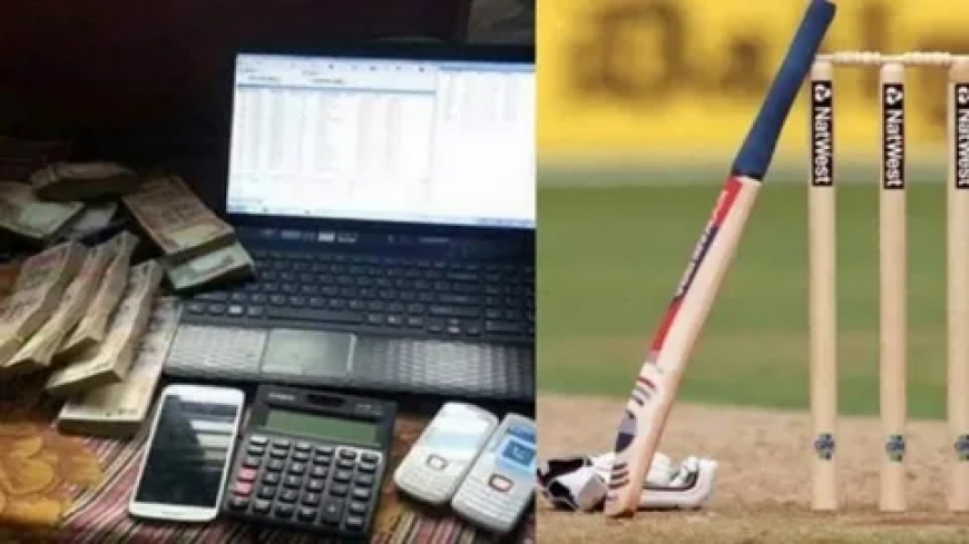 Live Cricket Betting in Assam – Real-Time Wagers, Local Insights & Legal Tips
