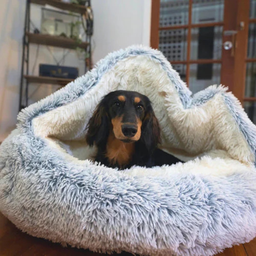 Ruffy’s Memory Foam Dog Bed: The Best Comfort for Your Dog