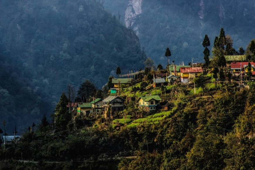 Plan Your Dream Trip to Sikkim and Darjeeling: Travel Itinerary & Tips