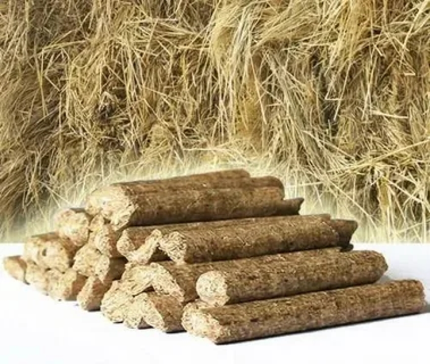 Rice Straw Pellets Manufacturer: Turning Agricultural Waste into Renewable Energy