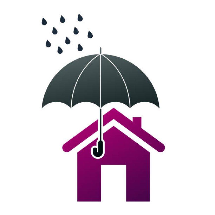 Roofers in Bellingham, WA