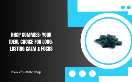 HHCP Gummies: Your Ideal Choice for Long-Lasting Calm & Focus