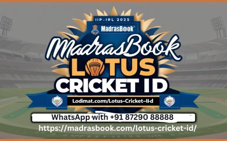 Lotus ID Benefits: Why You Should Register Today