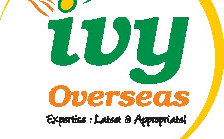 Foreign education consultants in Hyderabad