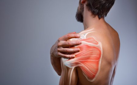 Shoulder Pain Treatment Dubai: A Holistic Approach to Shoulder Health