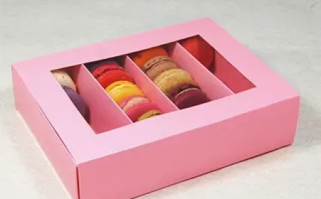 Custom Macaron Boxes for Assorted Macaron Collection