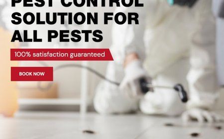 Don’t Let Pests Take Over: Melbourne's Complete Guide to Home Protection