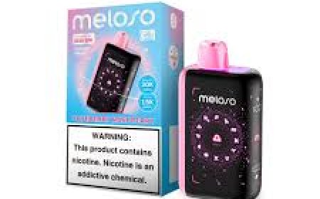 Why I Chose the Blueberry Raspberry Geek Bar Meloso and Blackberry Fcuking Fab Geek Bar