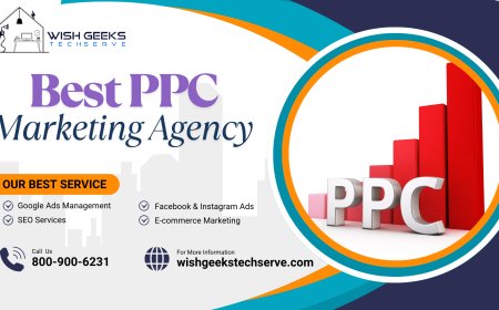 Best PPC Management Services in India for ROI-Focused Google Ads and Social Media Campaigns—Wish Geeks Techserve