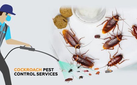 Best Pest Control Brooklyn: What Really Gets Rid of Cockroaches for Good?