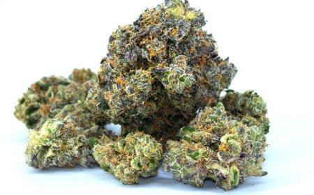 The Ultimate Guide to Finding Quality Weed Near Me