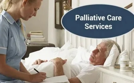 Your Guide to Palliative Care at Home in Croydon