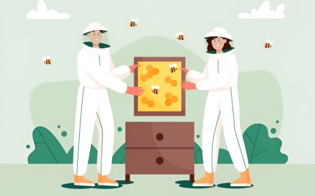 IoT Beehive Monitoring System: Transforming Modern Beekeeping with Smart Technology