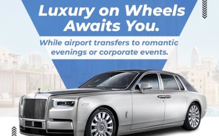 Party Out with Your Large Group in a Stretch Limo