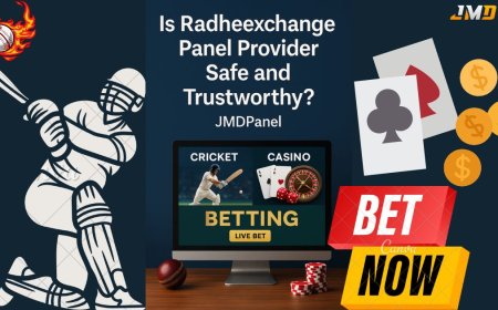 Is Radheexchange Panel Provider Safe and Trustworthy? – JMDPanel