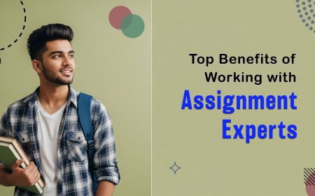 Top 5 Reasons Students Trust Assignment Experts
