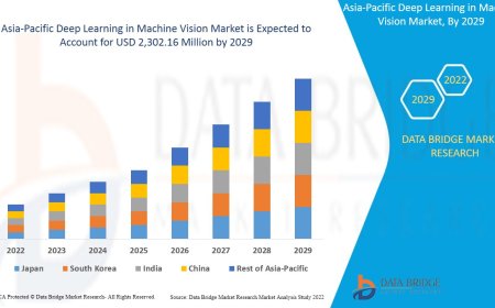 Asia-Pacific Deep Learning in Machine Vision Market: Insights and Competitive Analysis