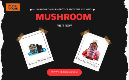Mushroom Momentum: Calm Energy & Clarity with The 420 King’s Fungi Finds