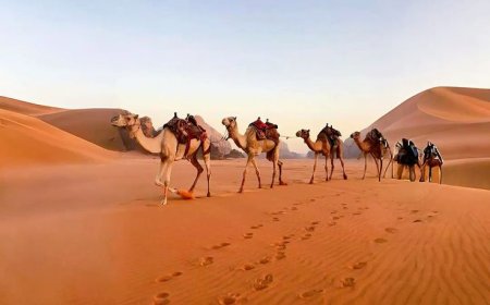 Team Up & Take the Dunes: Group Dune Buggy Rental in Dubai