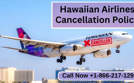 Understanding Hawaiian Airlines Cancellation Policy