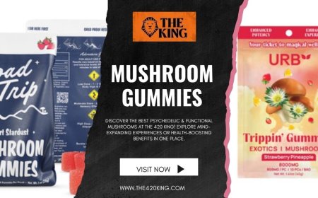 Top Mushroom Products in Florida: Gummies, Bars & More