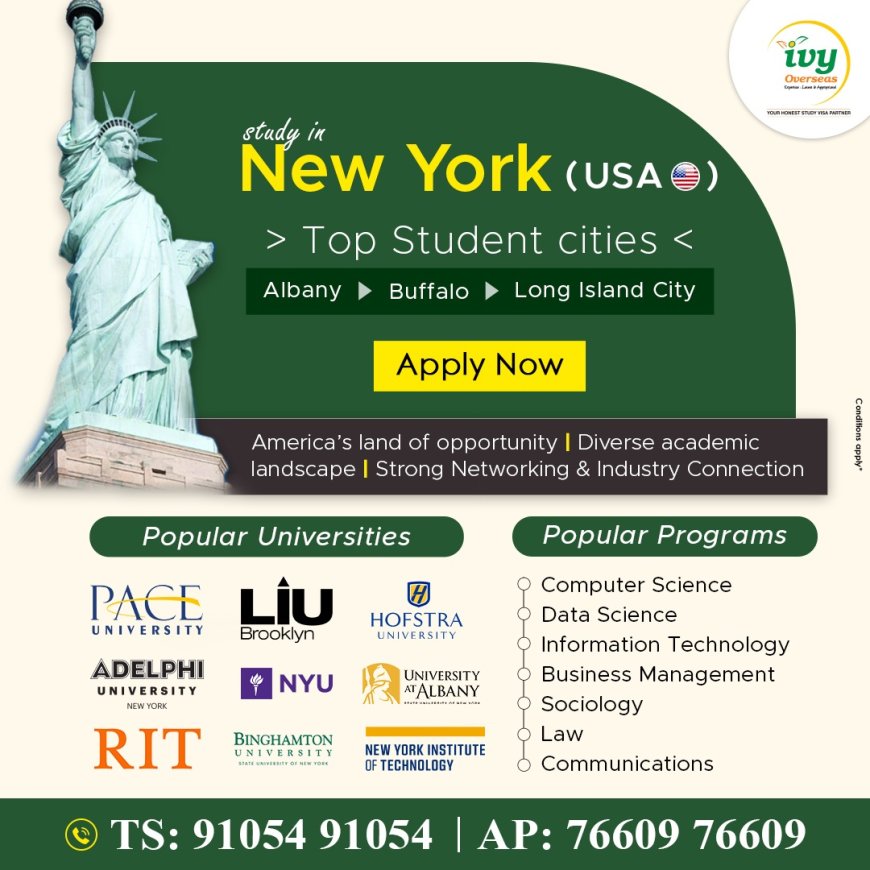 Study in USA Scholarships