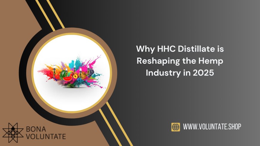 HHC Gummies vs Vape Carts: Which Is Right for You in 2025?