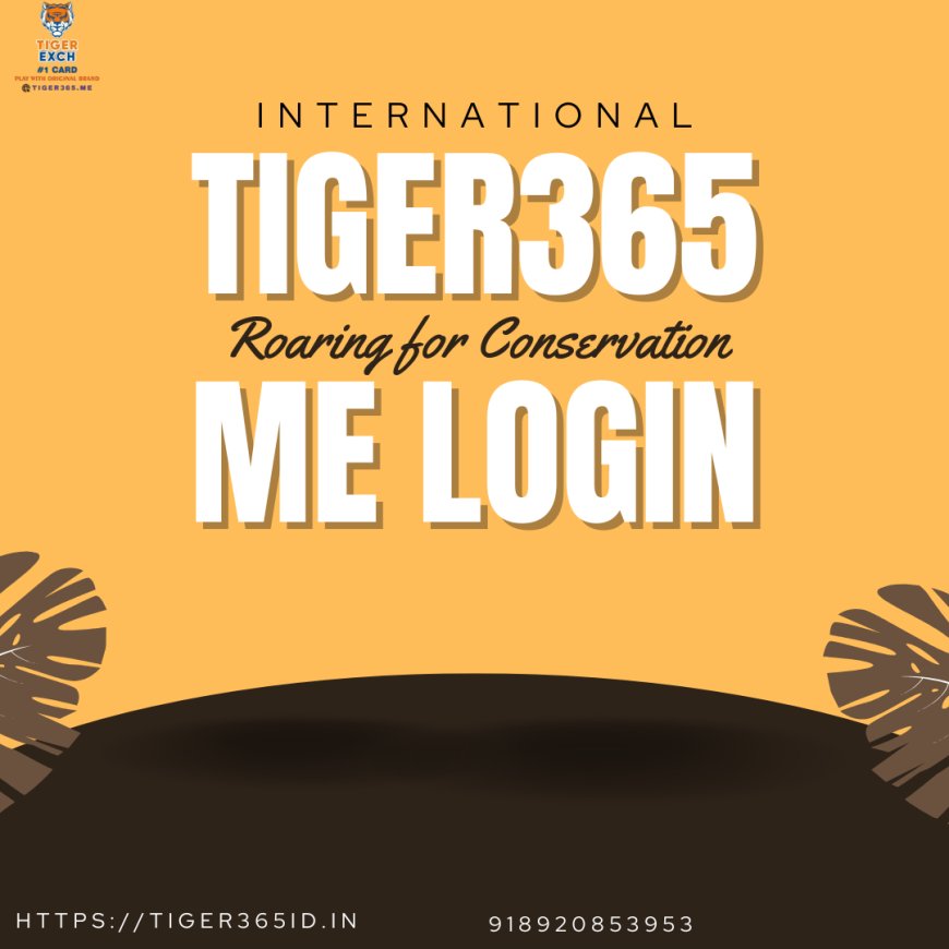 Tiger365 Me WhatsApp Number India – 24x7 Support Access
