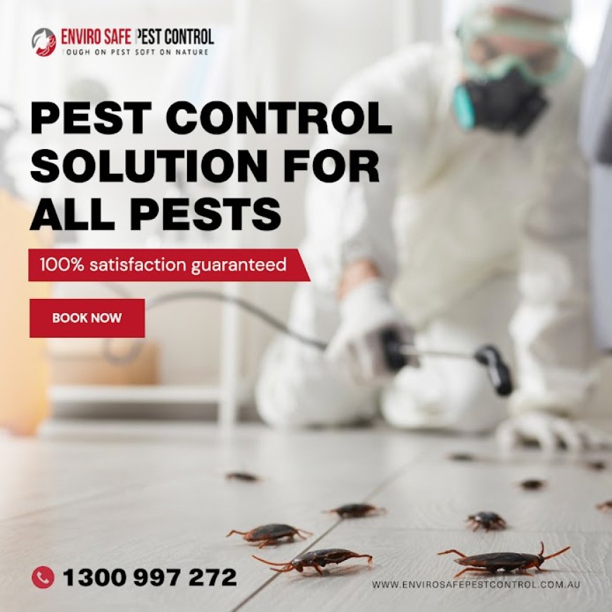Don’t Let Pests Take Over: Melbourne's Complete Guide to Home Protection