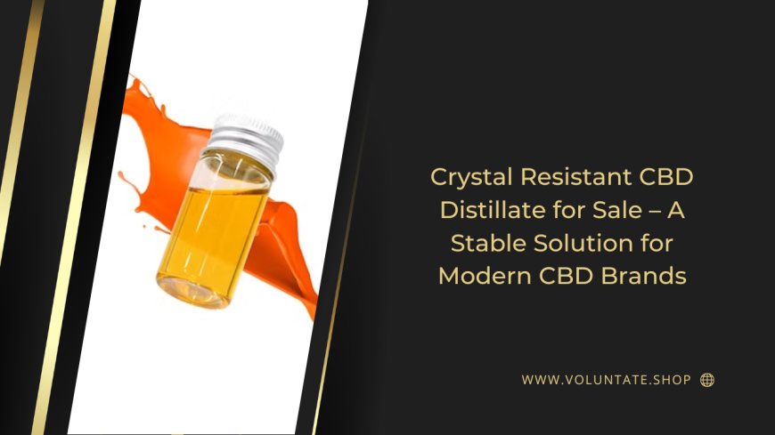 Crystal Resistant CBD Distillate for Sale – A Stable Solution for Modern CBD Brands