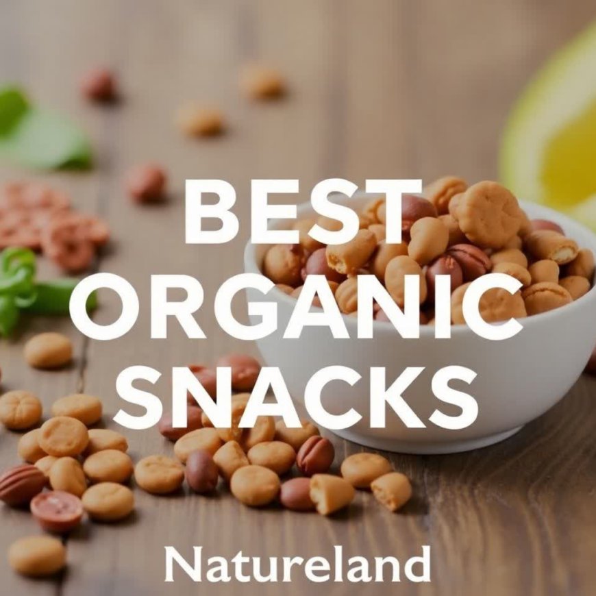 Discover the Best Organic Snacks Online – Tasty, Wholesome & 100% Natural | Natureland Organics