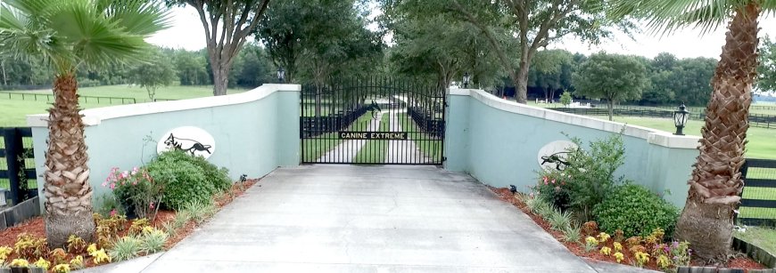 Florida German Shepherd Breeders | Quality Dogs for Every Home