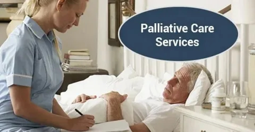 Your Guide to Palliative Care at Home in Croydon