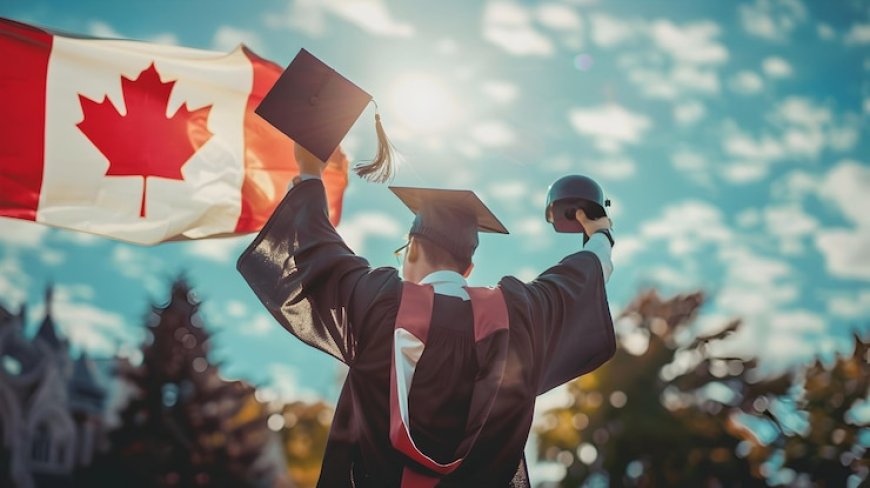 Education Consultant in Canada: Costs, Benefits, and What to Expect